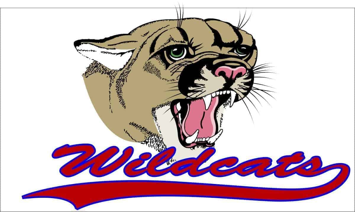 wildcat 2 1